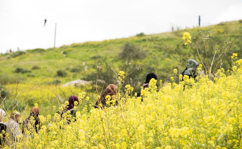 فندق Sharhabil Bin Hasnah Ecopark Qulay'at المظهر الخارجي الصورة