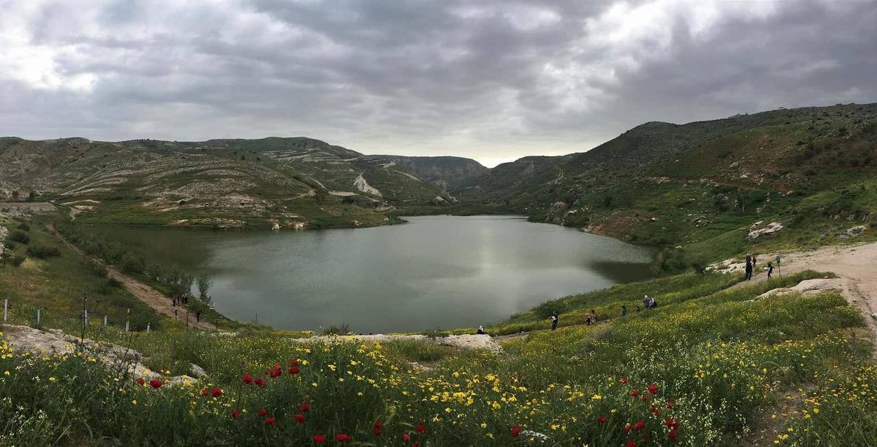 فندق Sharhabil Bin Hasnah Ecopark Qulay'at المظهر الخارجي الصورة