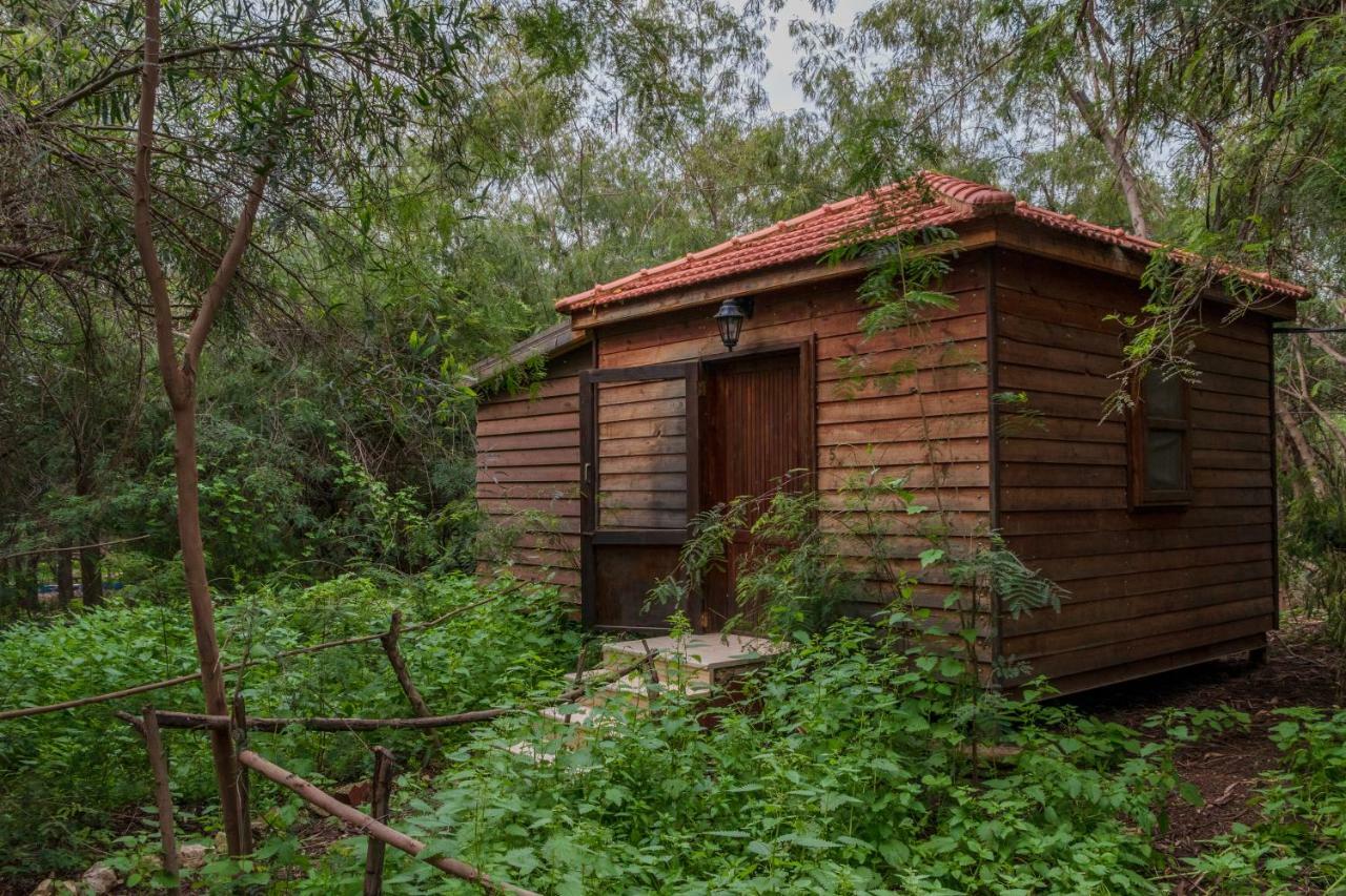 فندق Sharhabil Bin Hasnah Ecopark Qulay'at المظهر الخارجي الصورة